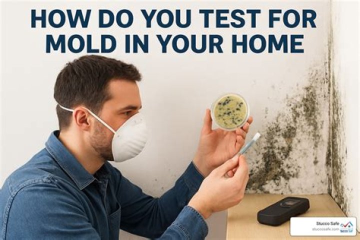 How do you test your house for mold?